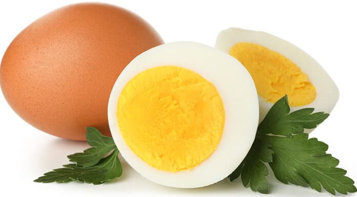 Alo Yumurta CMO’su Kadir Kurtlar, Yumurta Kabuğundaki Sırrı Açıkladı!..