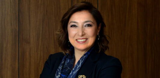 Mentor desteği de sağlıyorlar