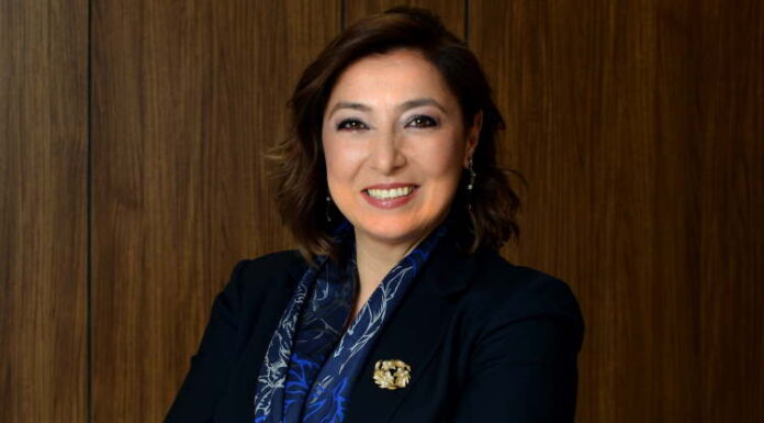 Mentor desteği de sağlıyorlar