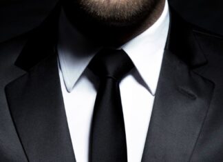 CEO Ne Demek
