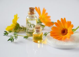 Tıbbi ve Aromatik Bitkiler Üzerine Araştırmalar Yapıldı