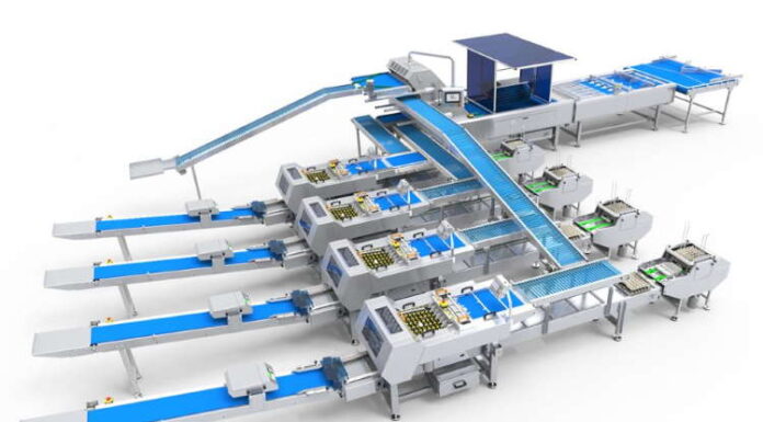 Yumurta Tasnif ve Paketleme Sistemi OvoSystem 250